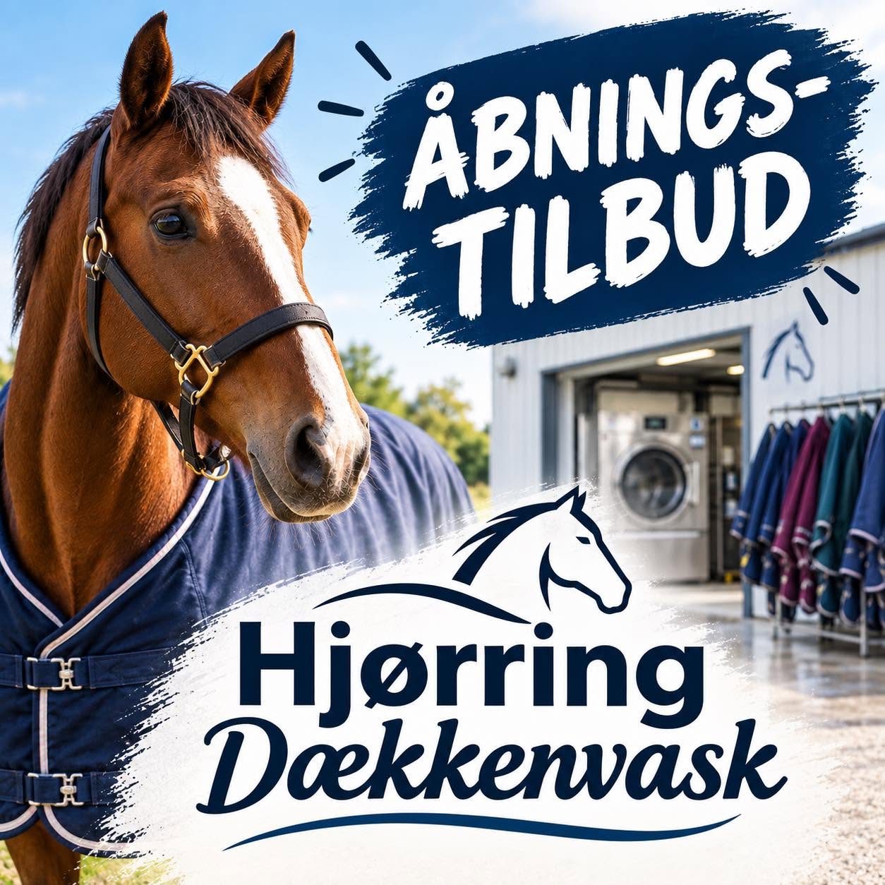 Åbningstilbud hos Hjørring Dækkenvask